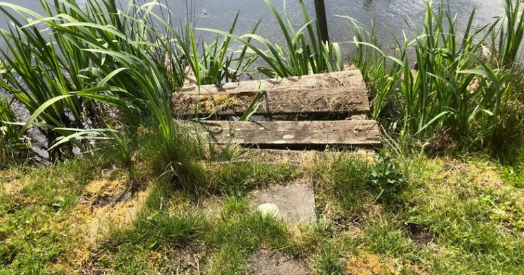 Steiger tegemoetkoming