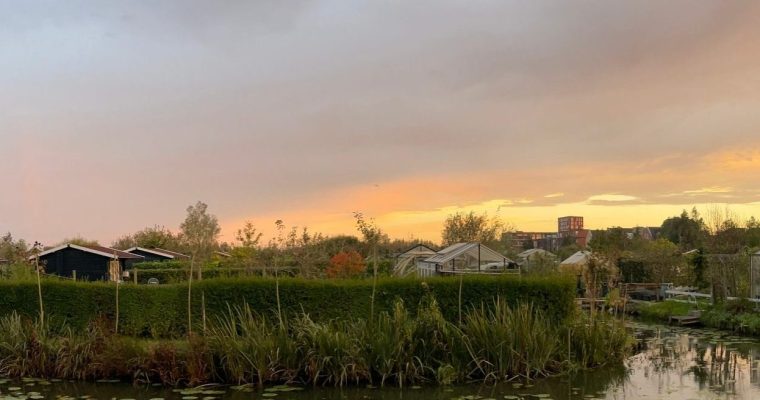 Deze zomer neemt RTV Utrecht een kijkje in onze tuinen